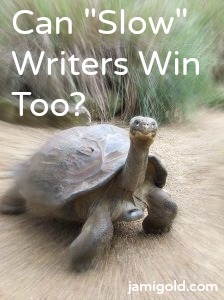Giant tortoise with text: Can "Slow" Writers Win Too?