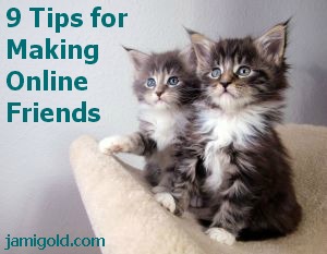 Kittens with text: 9 Tips for Making Online Friends