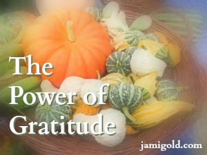 Harvest basket of colorful decorative gourds with text: The Power of Gratitude