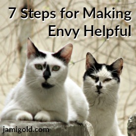 Cat with narrowed eyes watching cat on perch with text: 7 Steps for Making Envy Helpful