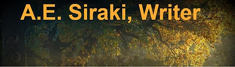 siraki-header-2