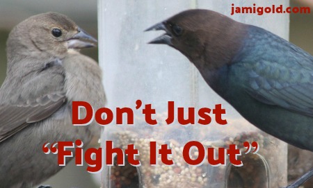 Birds fighting at a bird feeder with text: Don't Just "Fight It Out"