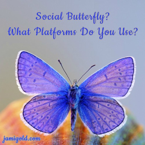 Close up of a purple butterfly with text: Social Butterfly? What Platforms Do You Use?