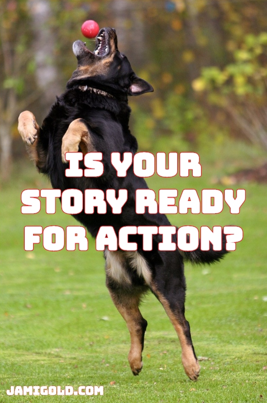 Dog jumping to catch ball with text: Is Your Story Ready for Action?
